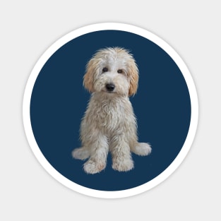 A Cream Colored Labradoodle Puppy - Just the Dog Magnet
